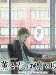 红桃视频在线观看 综艺大咖秀